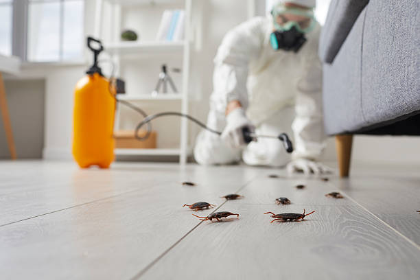 Trusted Emergency Pest Control service in Mount Vernon, IA - Nex Pest Control